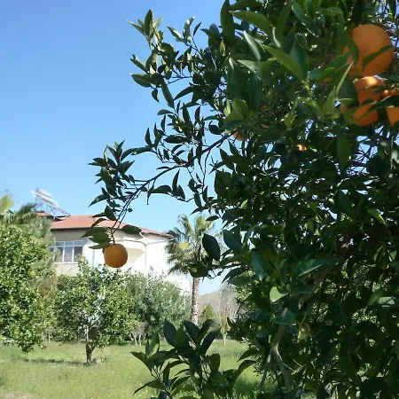 Malikane Residence,6 Bed Detached * Ortaca (Mugla)